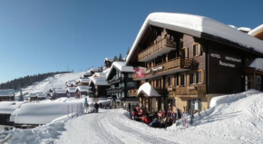 Отель Panorama Hotel & Restaurant, Беттмеральп